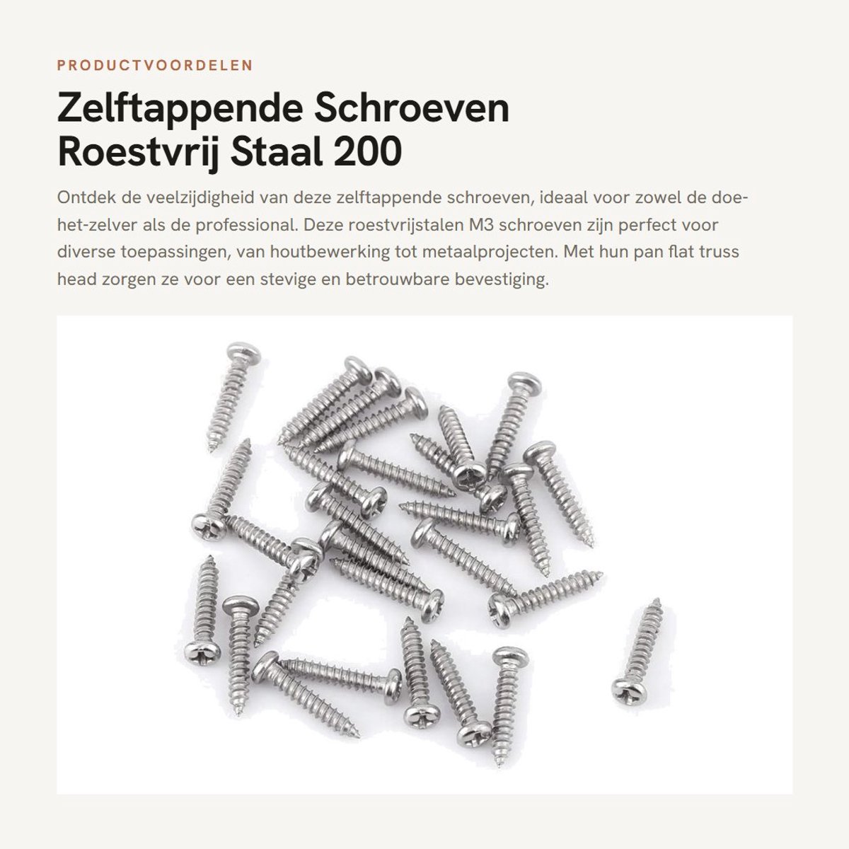 Dailygoods- Zelftappende Schroeven 200st - Roestvrij Staal - Pan/Flat - Truss Head - M3 - Schroevenset