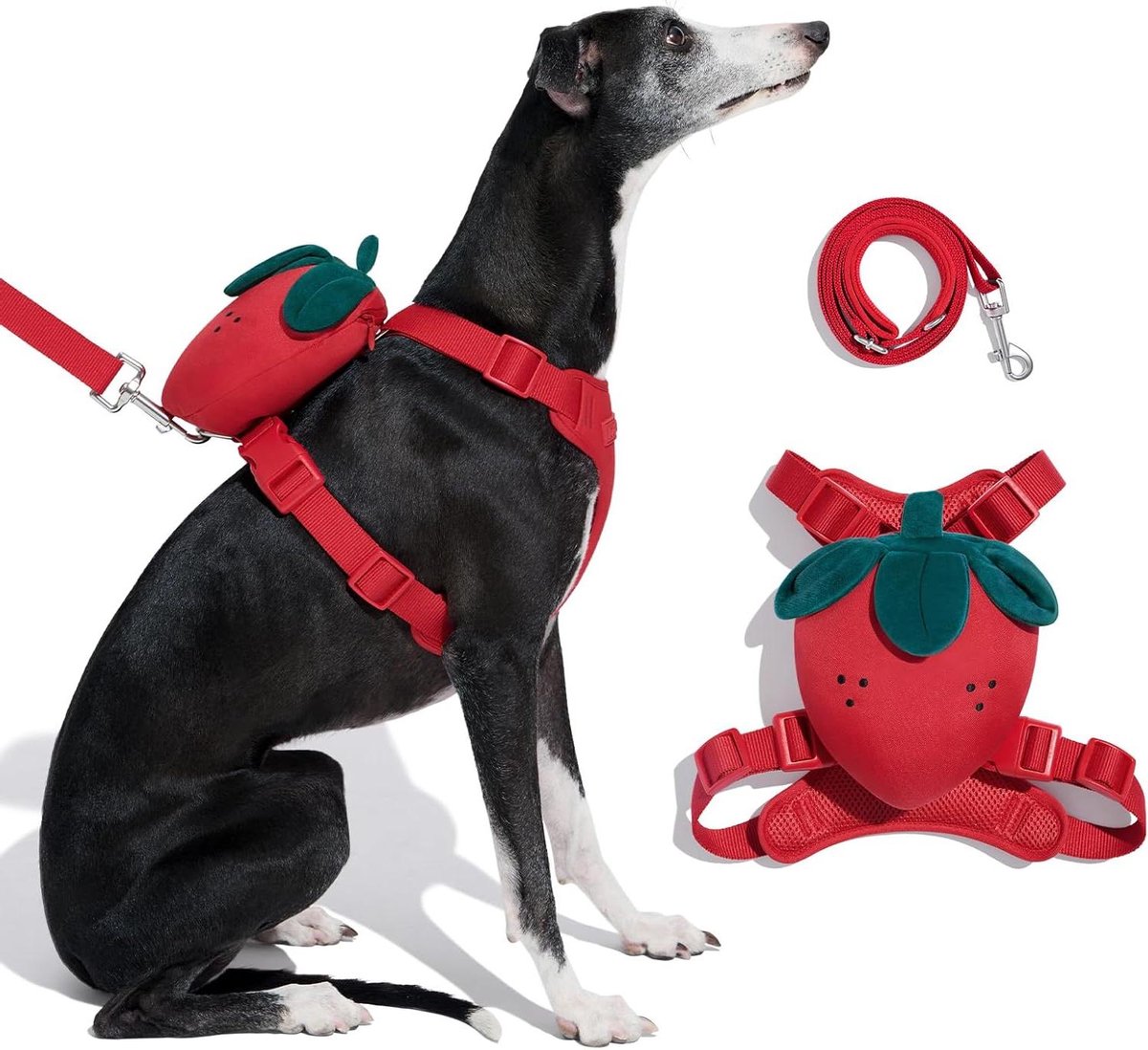 Hondentuig met Riem - Honden Harnas - Wandelen en Trainen - Ergonomisch Y-vormig - Maat S Borst 33-52 cm - Rood