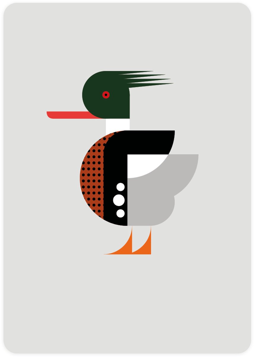 Eendje - 4x leuke wenskaarten - kaarten om te versturen - kaartenset - ansichtkaart met Middelste Zaagbek - kaarten met vogels