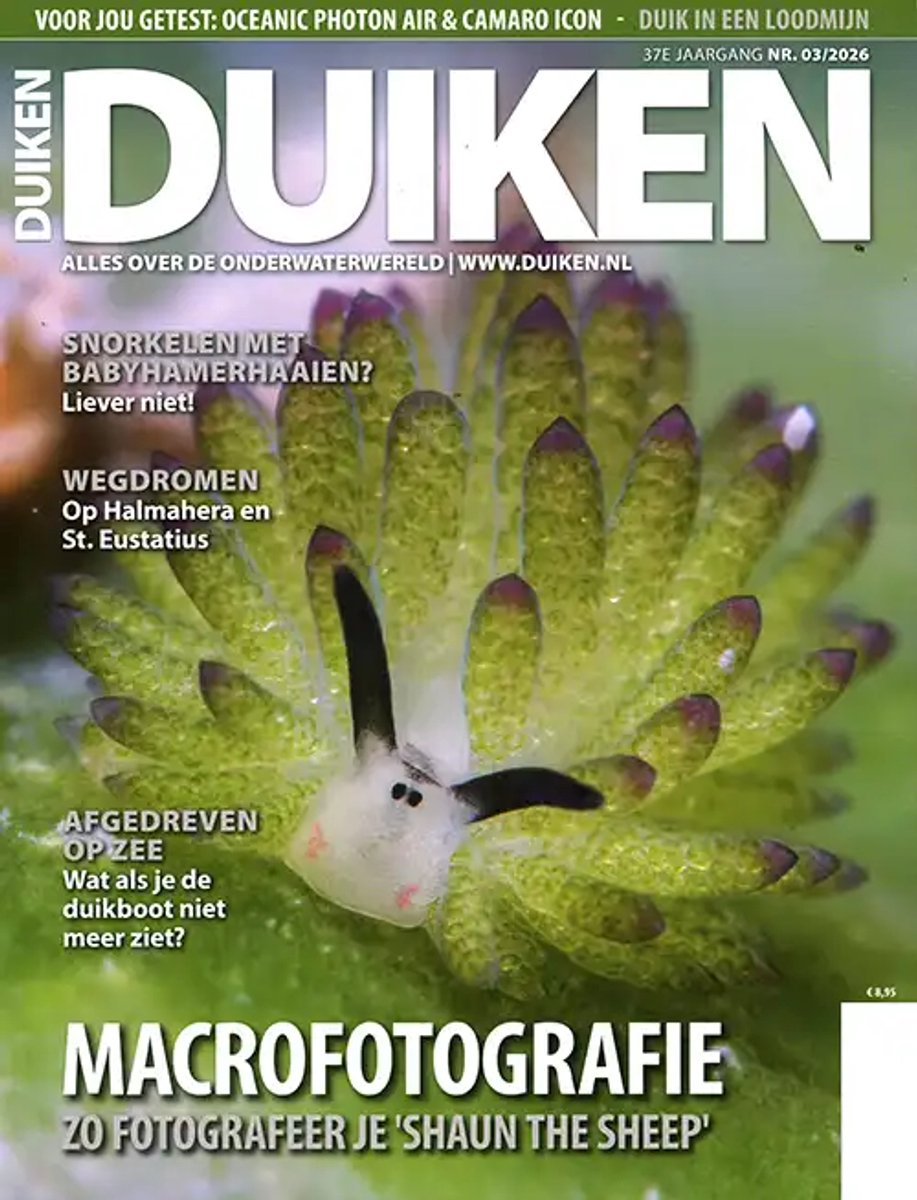 Duiken - 03 2026