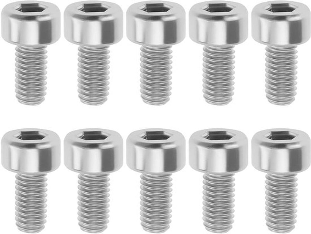 Gitaar Tremolo Klem Borgmoer Schroeven - M3 x 6 mm - 10 stuks - Floyd Rose Compatibel - Zilver.