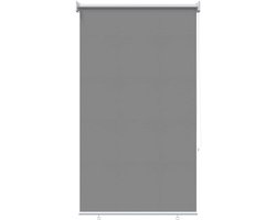 vidaXL - Buitenrolgordijn - UV-bescherming - Lichtgrijs - 100 - x - 230 - cm - (B - x - H)