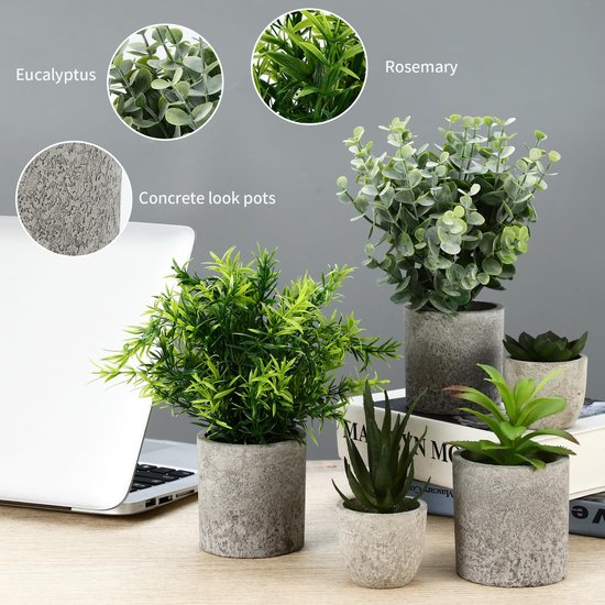 Set van 5 kunstplanten in betonnen potten: eucalyptus, rozemarijn, vetplant, slangentong en aloë.