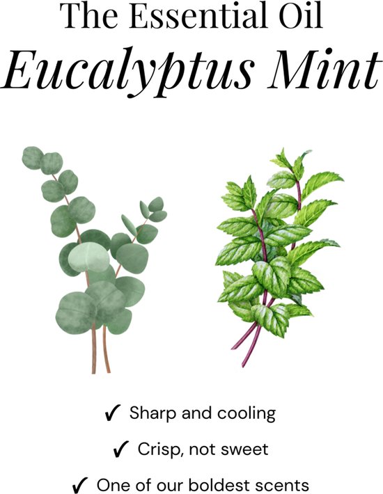 Illustraties van eucalyptus en munt. "Scherp en verkoelend", "Kruidig, niet zoet", "Eén van onze meest uitgesproken geuren".