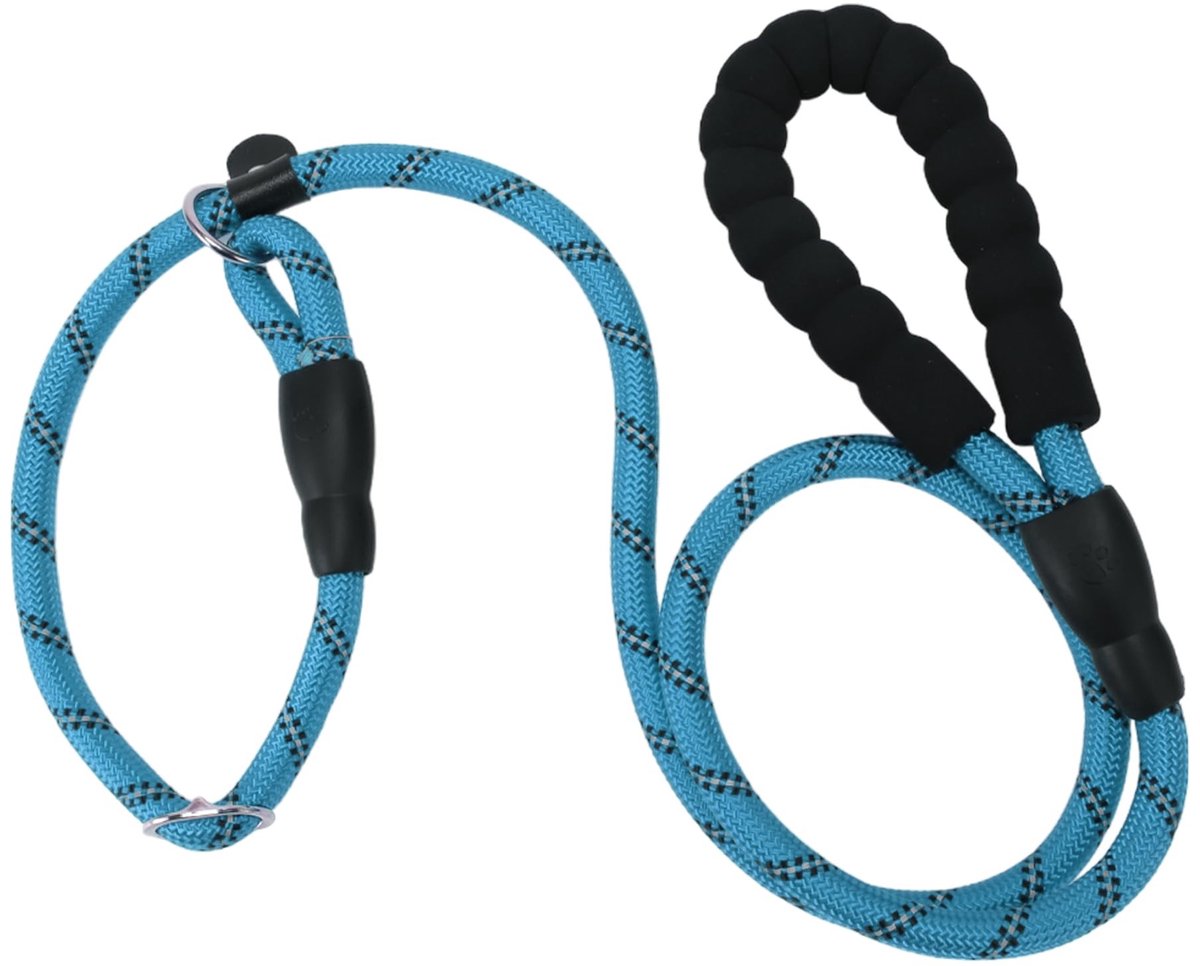 Dailygoody - Nylon Hondenriem - Reflecterend - Veiligheid en Comfort - Lichtblauw - Duurzaam Materiaal - Geschikt voor Alle Honden - 130cm