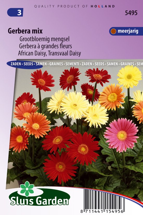 Sluis Garden - Gerbera grootbloemige gemengd