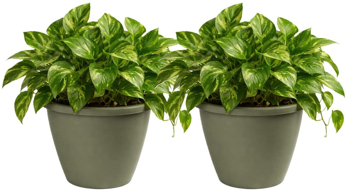Mega Collections Plantenpot / bloempot Essence Lima - 2x - kunststof - olijf groen - binnen/buiten - D50 x H40 cm