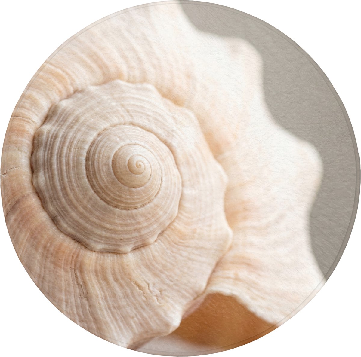 WC mat rond 70x70 cm - Antislip - Schelp - Detail - Beige - Toiletmat - Vloermat - Douchem