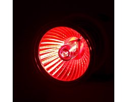 Terrarium Lamp - UVB Lamp - Reptielen Verwarmen - Stimuleert Appetijt - E27 Schroef