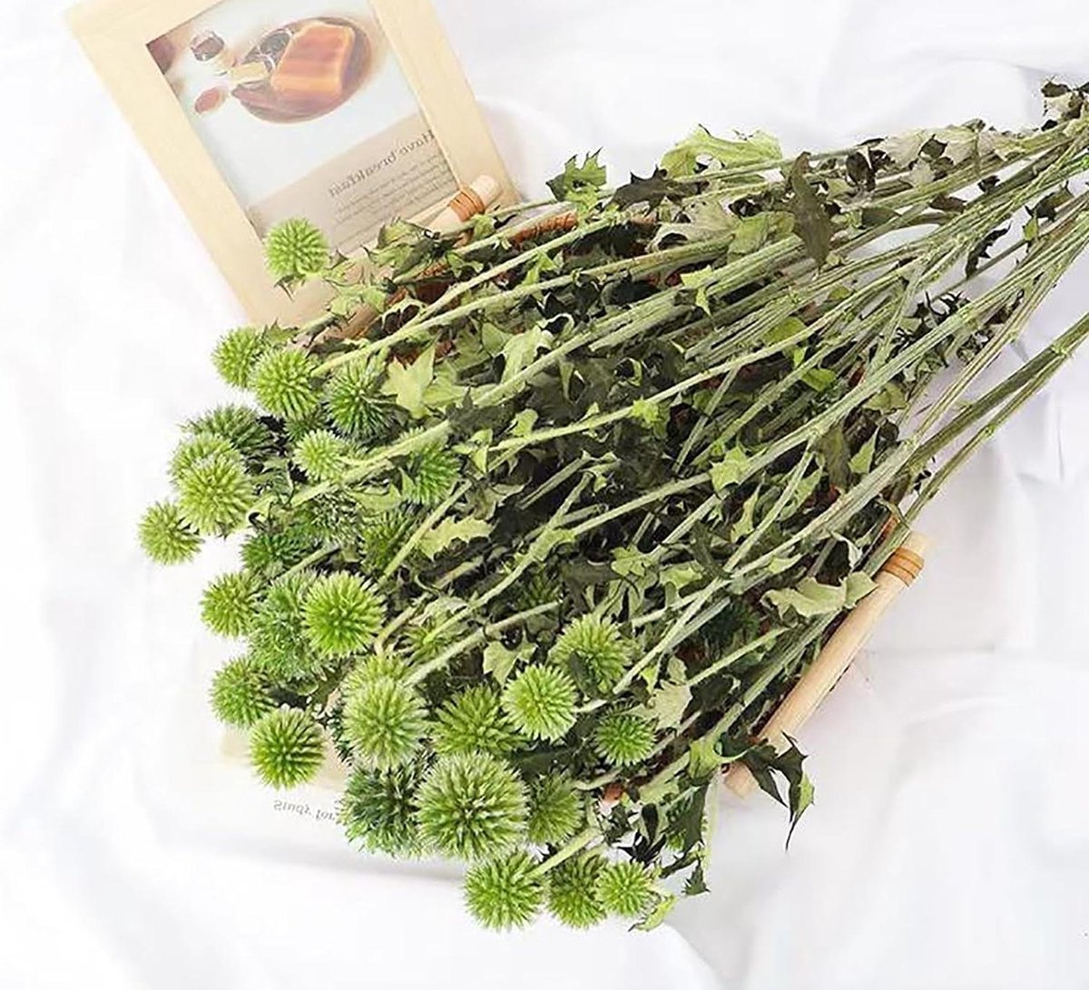 Geconserveerde Echinops Bloemen - Gedroogde Blauwe Distels - Bruiloft en Decoratie - Natuurlijke Vintage Elegantie - 45 cm Bundel - Blauwpaars