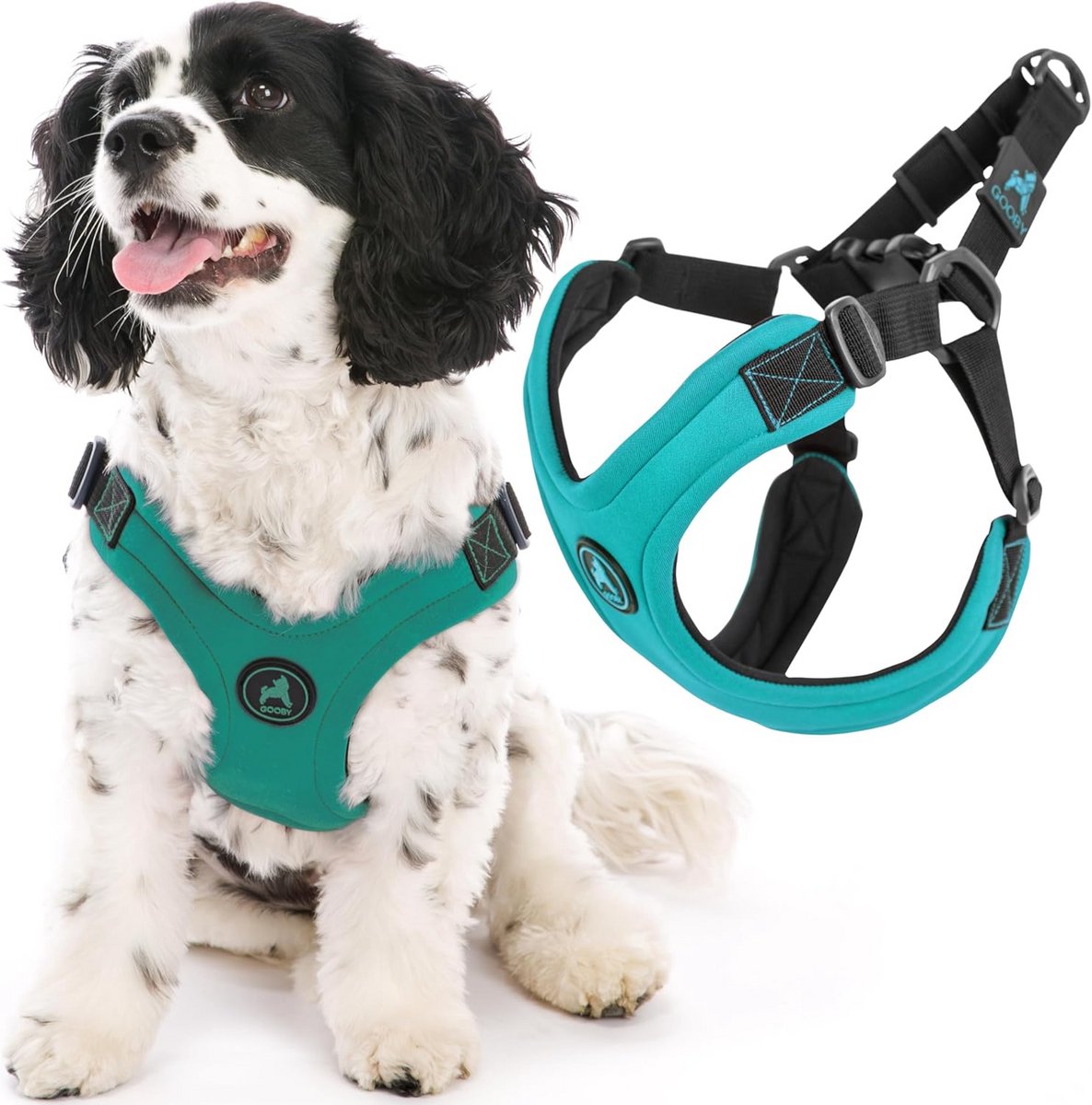 Sporttuigje voor kleine honden - ontsnappingsvrij neopreen harnas met vierpuntsaanpassing, geschikt voor middelgrote honden, turquoise, medium