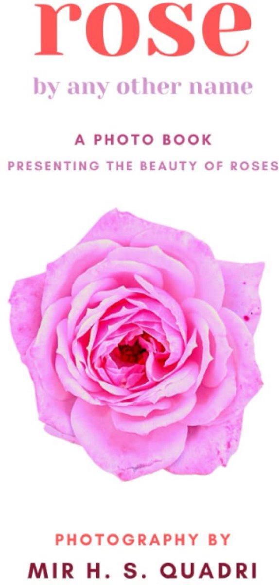 Fotoboek: Prachtige Rozen Fotografie - Bloemen en Tuin Inspiratie