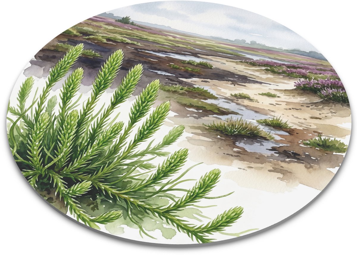 Ronde Muismat - Moeraswolfsklauw in Veenlandschap - Aquarel Natuur Illustratie - Lycopodiella inundata - Bureau Decoratie - Diameter 22 cm