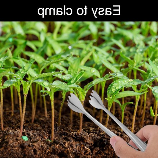 Set van 2 Transplantatierods van RVS van 20,5 cm voor het Verplanten van Zaailingen, Tuinaccessoires voor Minder Wortelschade en Efficiënt Planten — afbeelding 5