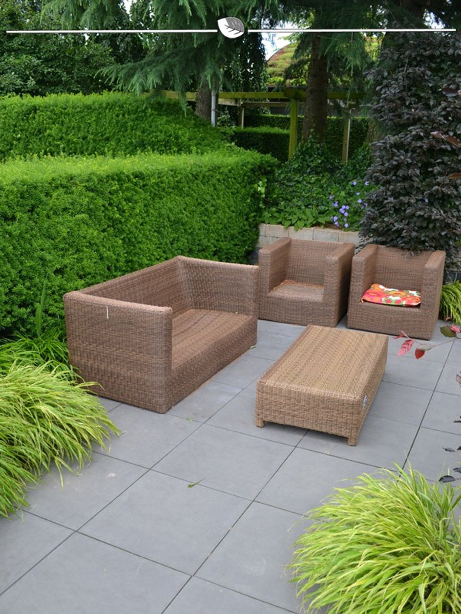Venijnboom Taxus media Hillii 40-50 cm, 25x Haagplant