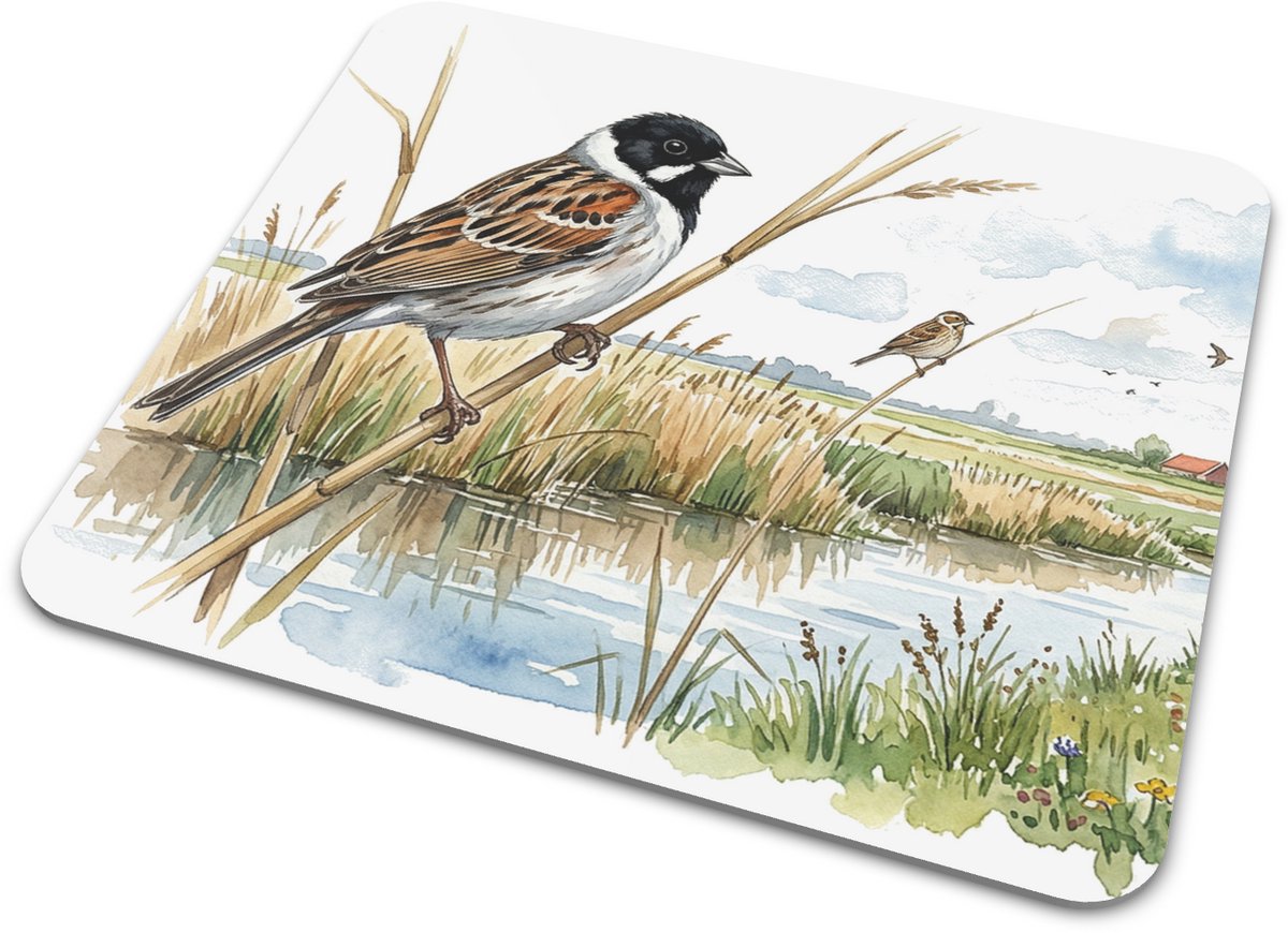 Muismat Rietgors (Emberiza schoeniclus) in moeraslandschap Aquarel Series - Botanische illustratie van vogel op rietstengel - Sfeervolle accessoire voor thuiswerkplek - Uniek natuur cadeau voor vogelliefhebber