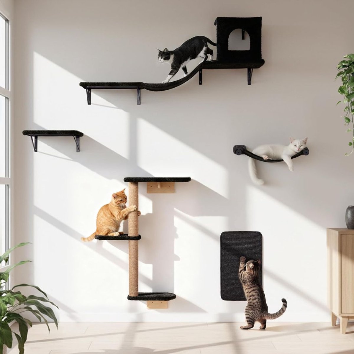 MRKK® Katten Klim Wand - Klimmuur - Hangmat