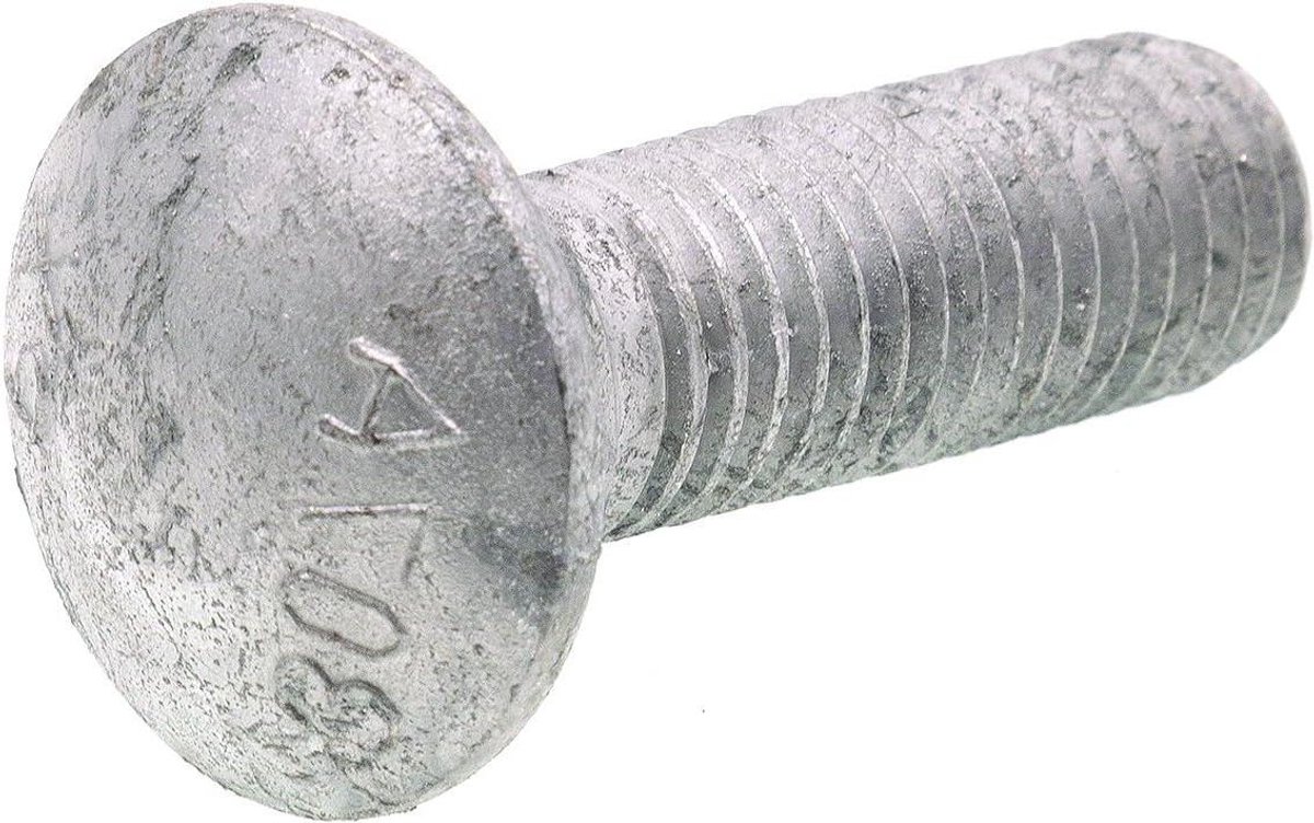 Slotschroef - Draagbout - Veilige Bevestiging - Afgeronde Kop - 28 cm - Verzinkt