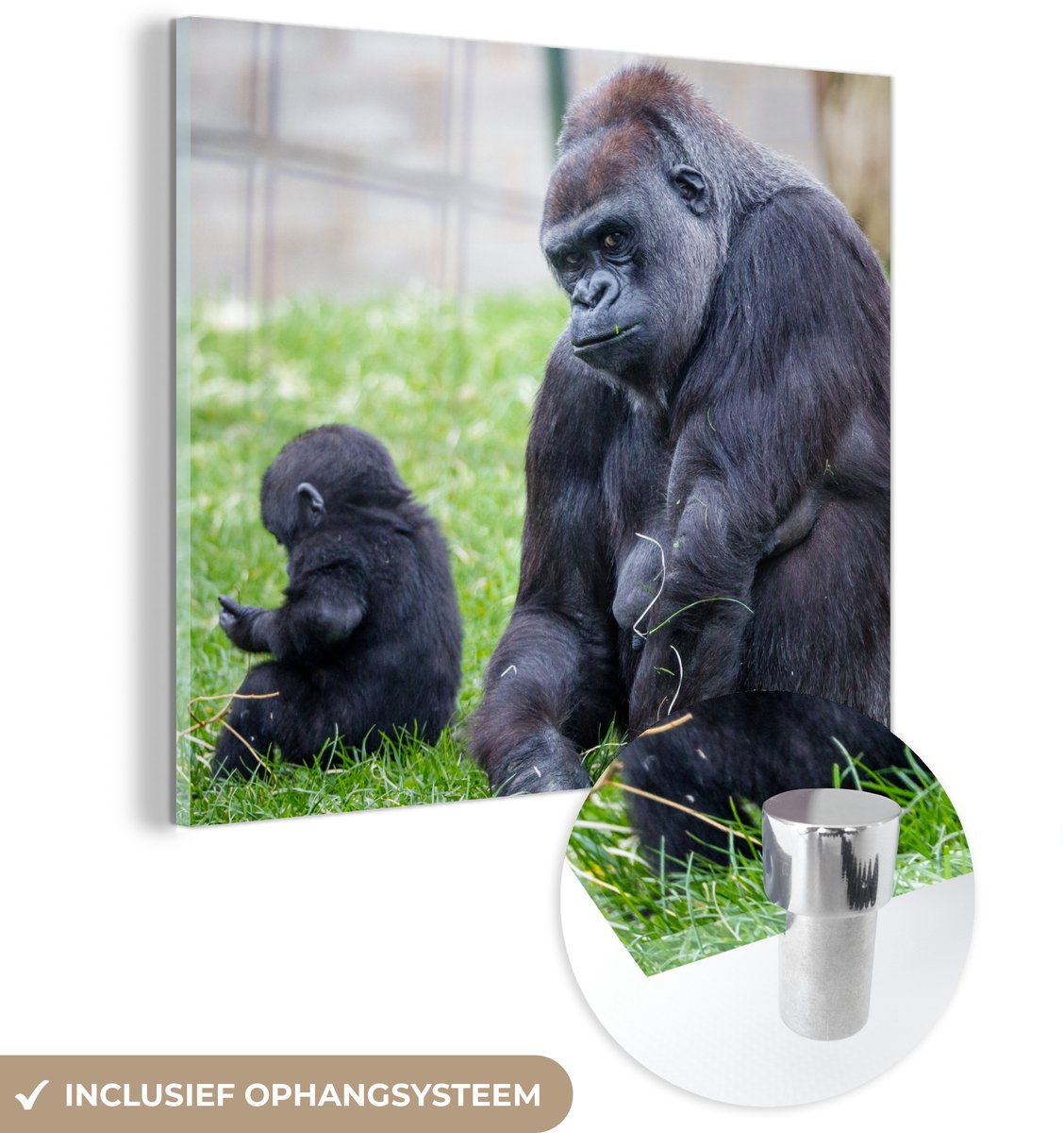 ® Glasschilderij 90x90 cm - Schilderij acrylglas - Een grote Gorilla met zijn baby - Foto op glas - Muurdecoratie woonkamer - Wanddecoratie slaapkamer - Schilderijen