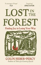 Lost in the Forest