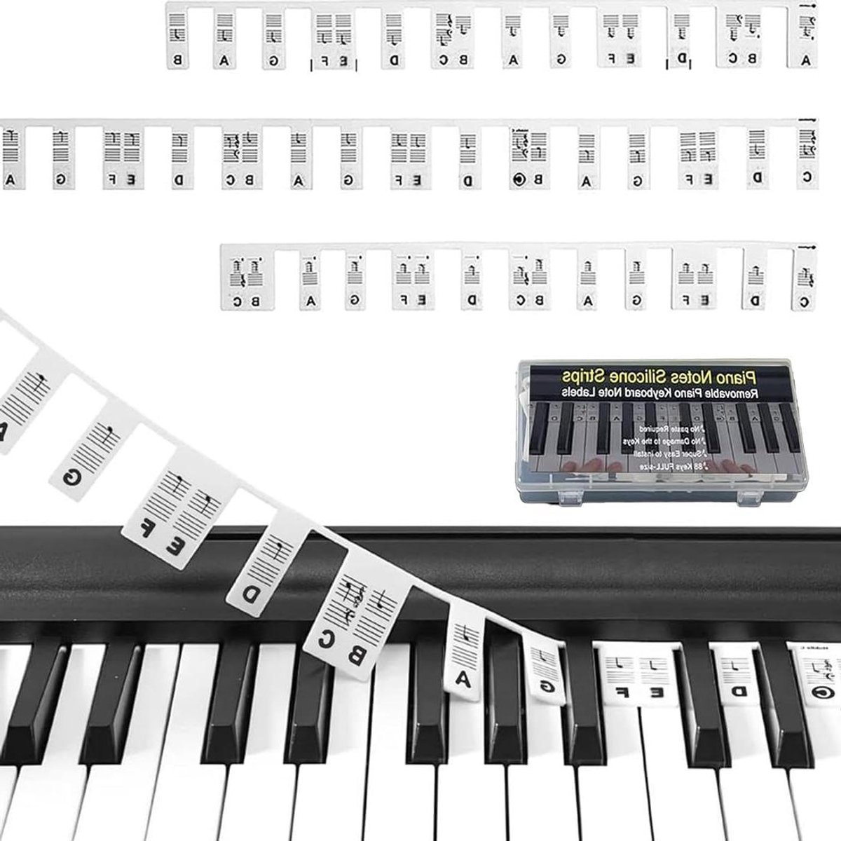 Pianonotengids - Toetsenbord stickers - Muziek Leren - Zonder lijm - 88/61 toetsen - Transparant