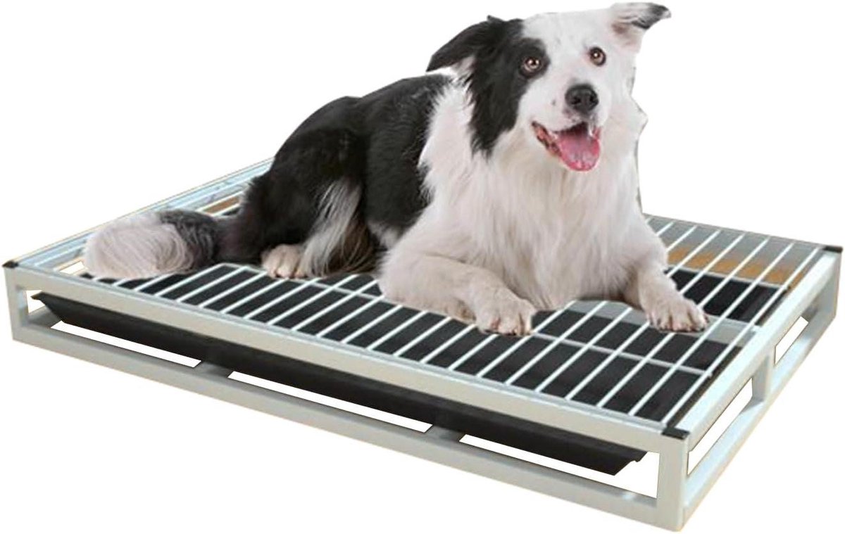 Hondenpotje met lade - Hondentoilet bak - Zindelijkheidstraining puppy - Houdt poten droog - 61 cm - Wit