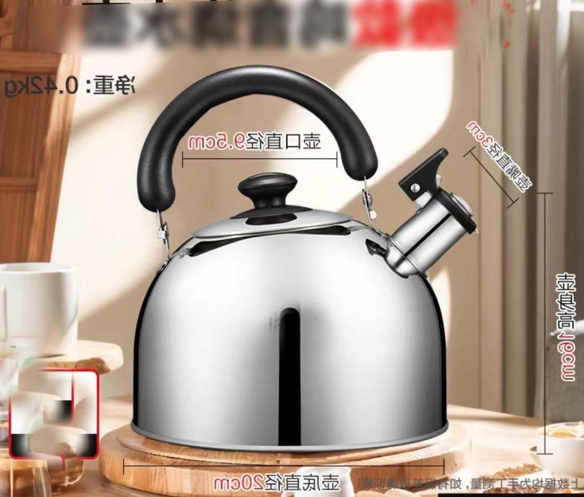 Fluitketel - Waterketel fornuis - Snel water koken - Roestvrij staal - 3 liter - Zilver