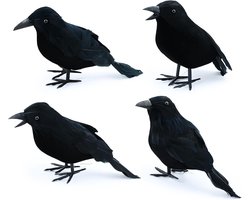 Top 10 vogelvoederbakken en voerplekken voor binnen en buiten 2026: Realistische kraaien voor Halloween