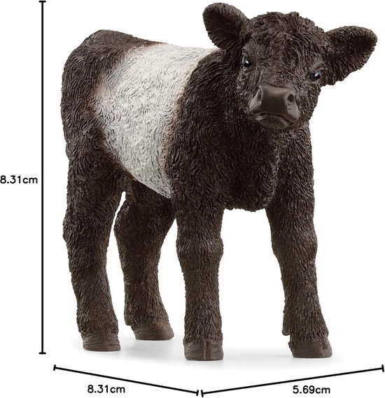schleich FARM WORLD Galloway Calf, from 3 Years, 13969 - Play Figure, 3 x 8 x 6 cm van Schleich — afbeelding 2