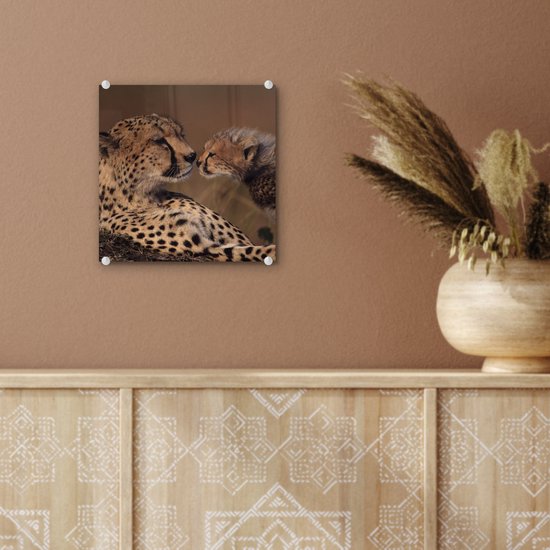 ® Glasschilderij 20x20 cm - Schilderij acrylglas - Cheeta moeder en welp - Foto op glas - Muurdecoratie woonkamer - Wanddecoratie slaapkamer - Schilderijen