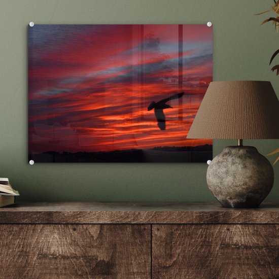 ® Glasschilderij 40x30 cm - Schilderij acrylglas - Silhouet van een stormmeeuw - Foto op glas - Muurdecoratie woonkamer - Wanddecoratie slaapkamer - Schilderijen