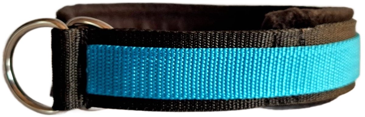 Sliphalsband - Maat M - 4 cm breed - Zwart met turquoise - Halfcheck halsband - Anti trek halsband - Honden halsband - Sterke rassen - Zeer sterk