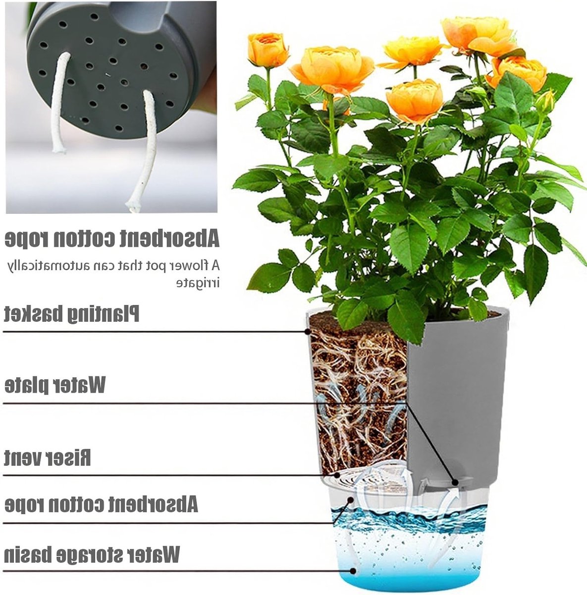 Zelfbewaterende Bloempot - Keukenset voor Kruiden en Planten met Automatisch Bewateringssysteem (Zwart) — cadeau in Wonen & Interieur - foto 3