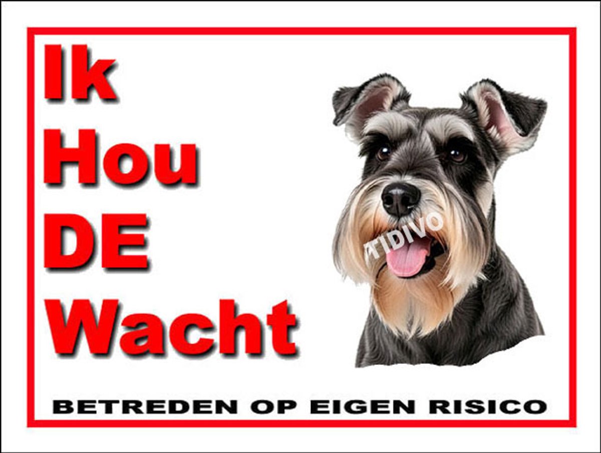 Dwergschnauzer 7