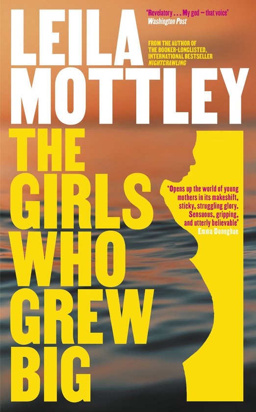 The Girls Who Grew Big - cover