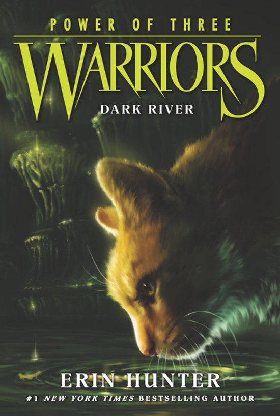 Warriors Power Of 3 No 2 Dark River - cover