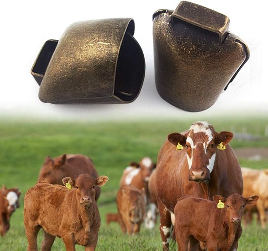 Twee bronzen koeienbellen boven een foto van een kudde koeien in een groene weide.