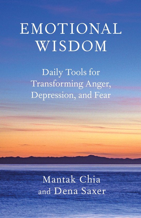 Boek 'Emotional Wisdom' met de ondertitel 'Daily Tools for Transforming Anger, Depression, and Fear'. Achtergrond van zonsondergang boven de oceaan.