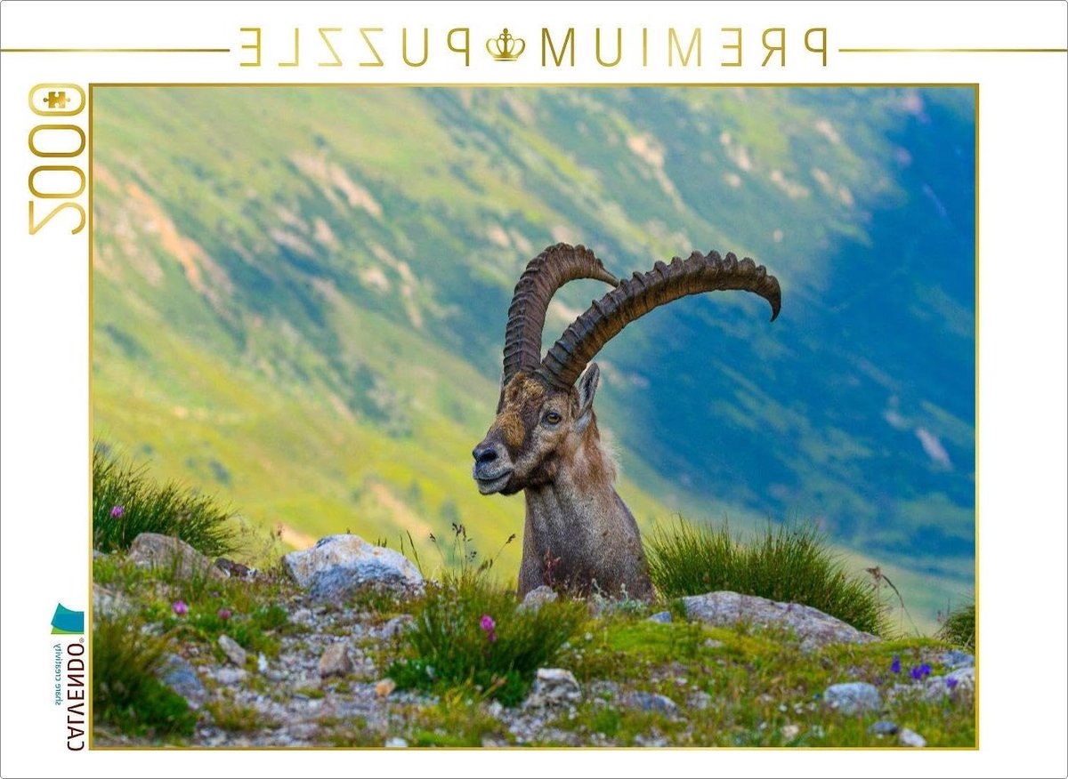 Puzzel Alpenkoning - Landschap Puzzel - Ontspanning Thuis - Precisie Stansing - 64 x 48 cm - Meerkleurig