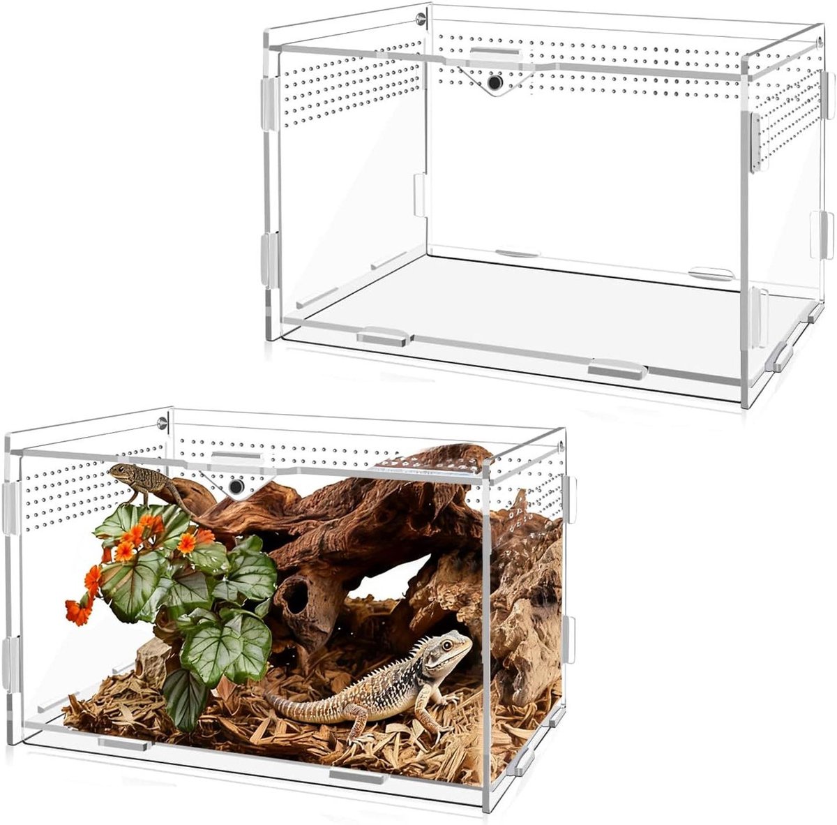Slakkenterrarium Acryl - Vivarium Insectenbox - Kleine Huisdieren Houden - Transparant 360 Graden Zicht