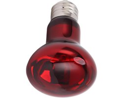 Reptielen Warmtelamp - Terrarium Lamp UVA - Natuurlijke Omgeving Simuleren - Dag en Nacht Verlichting - 220-240V - Transparant