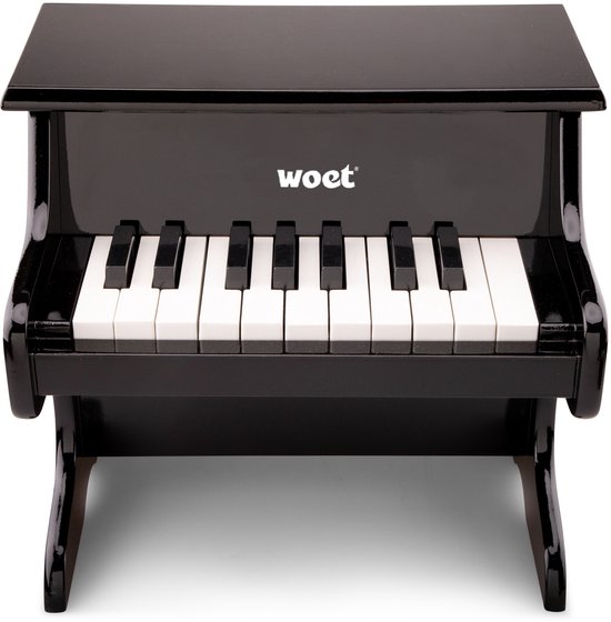 New Classic Toys Instrument de Musique pour débutants Piano Rose avec Le Livre de Musique