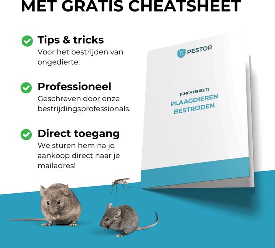 Flyer met tekst 'MET GRATIS CHEATSHEET', tips en afbeeldingen van muizen en een insect.