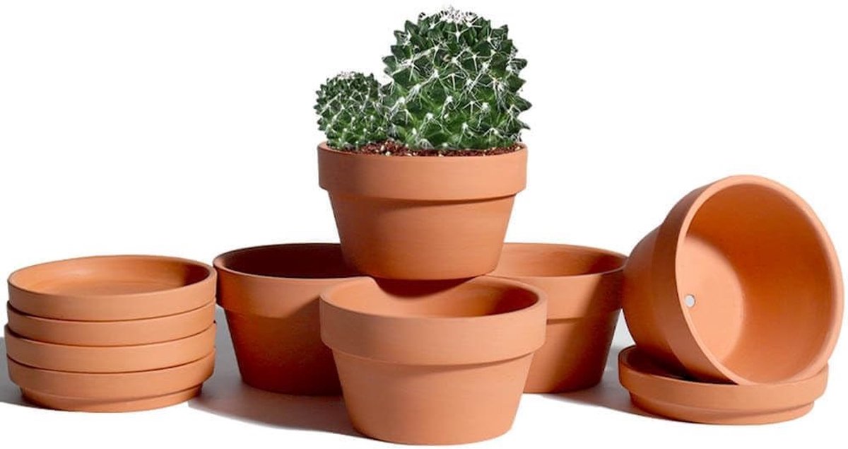 Famanu – Terracotta ondiepe potten set van 6 stuks met schotels, 5,7 inch, voor binnen en buiten, met drainagegat, ideaal voor cactussen en vetplanten