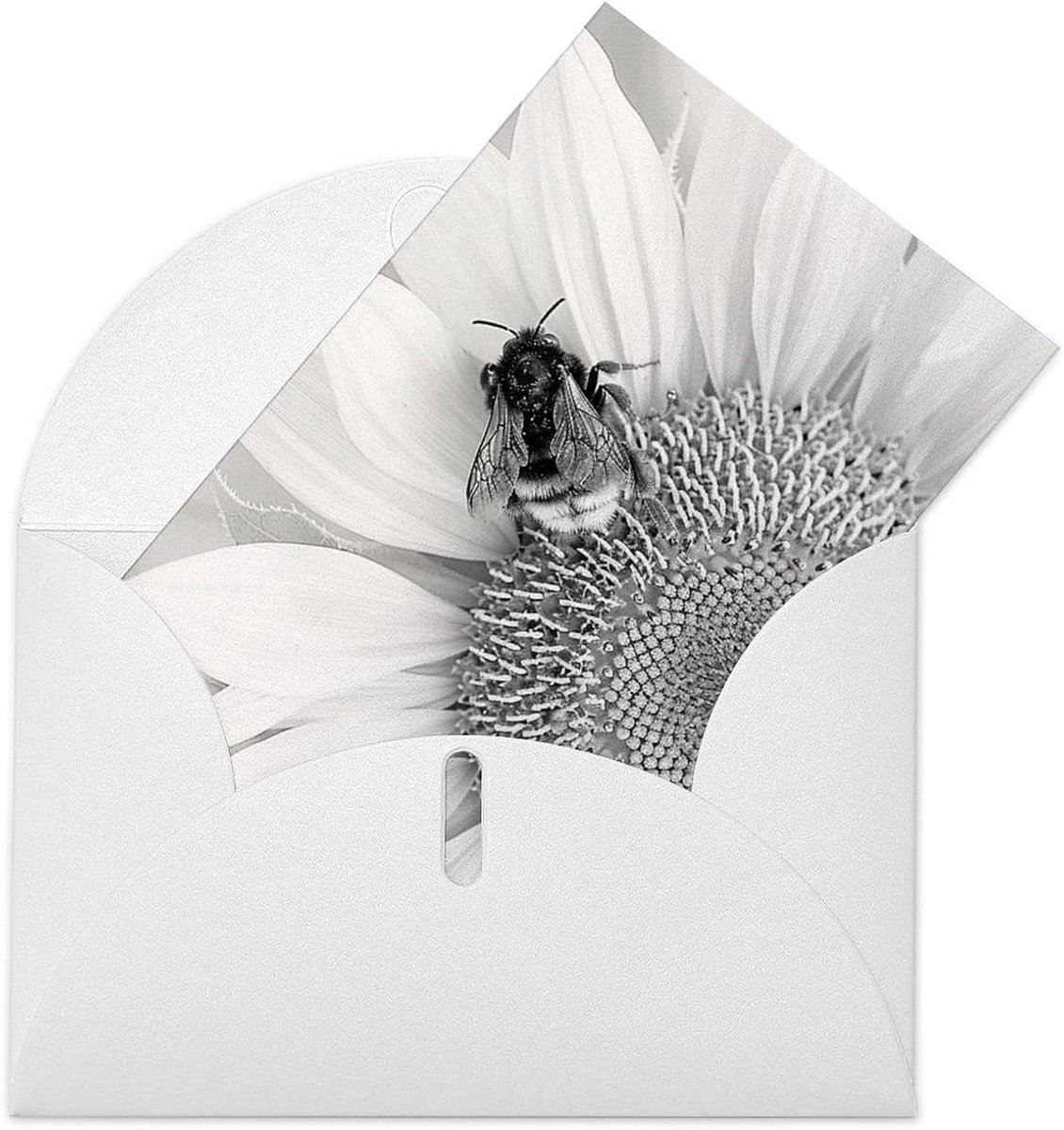 Verjaardagskaarten met enveloppen - Wenskaarten notitiekaarten - Oprechte boodschappen delen - Premium kwaliteit parelmoer papier - 9 x 15 cm