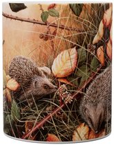 Egeltje Autumn Fruits - Hedgehog - Mok 440ml 440