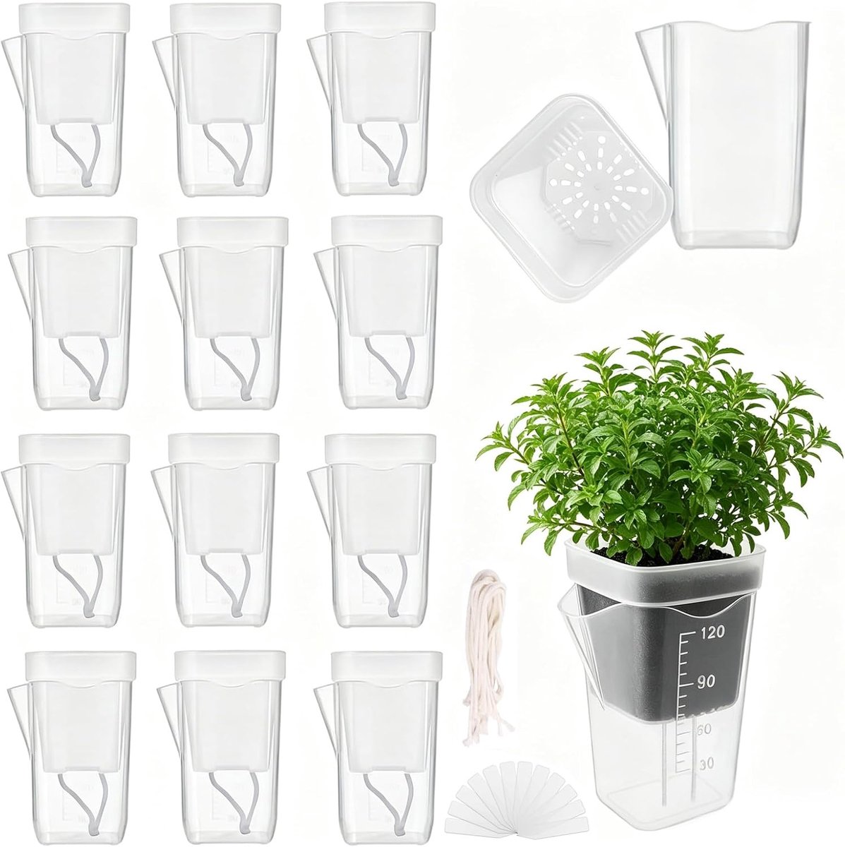 Zelfwatergevende Plantenpot - 12 stuks - Transparante Waterreservoir Kweekpotten - met Watertouw - 12 Plantenlabels - Geschikt voor Binnen Kamerplanten en Kruiden
