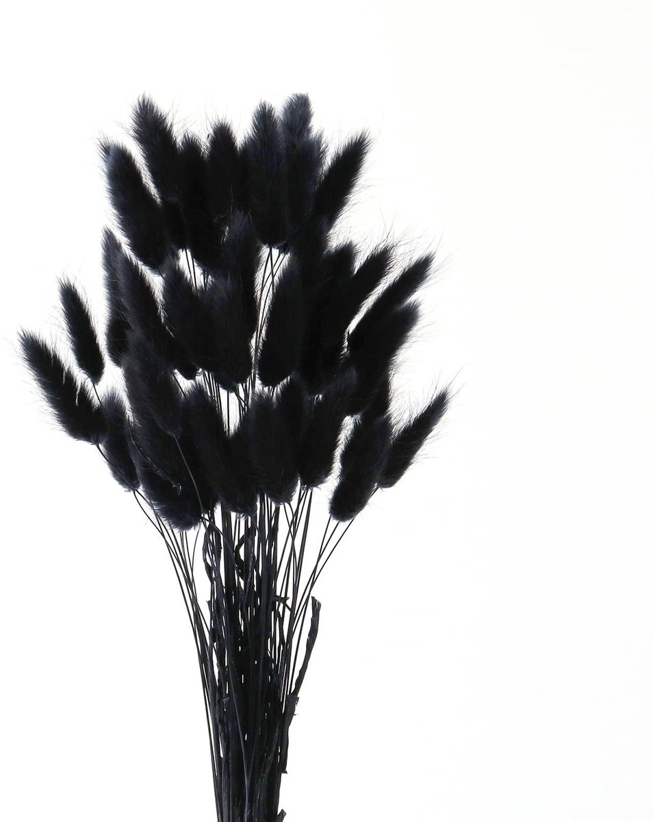 Dailygoods- Pampas Gras Decoratie - Gedroogd Pampas Gras - Zwart Pampas Gras - 50 Stuks - Boho Bloemen - 40 cm Lang - Decoratiegras