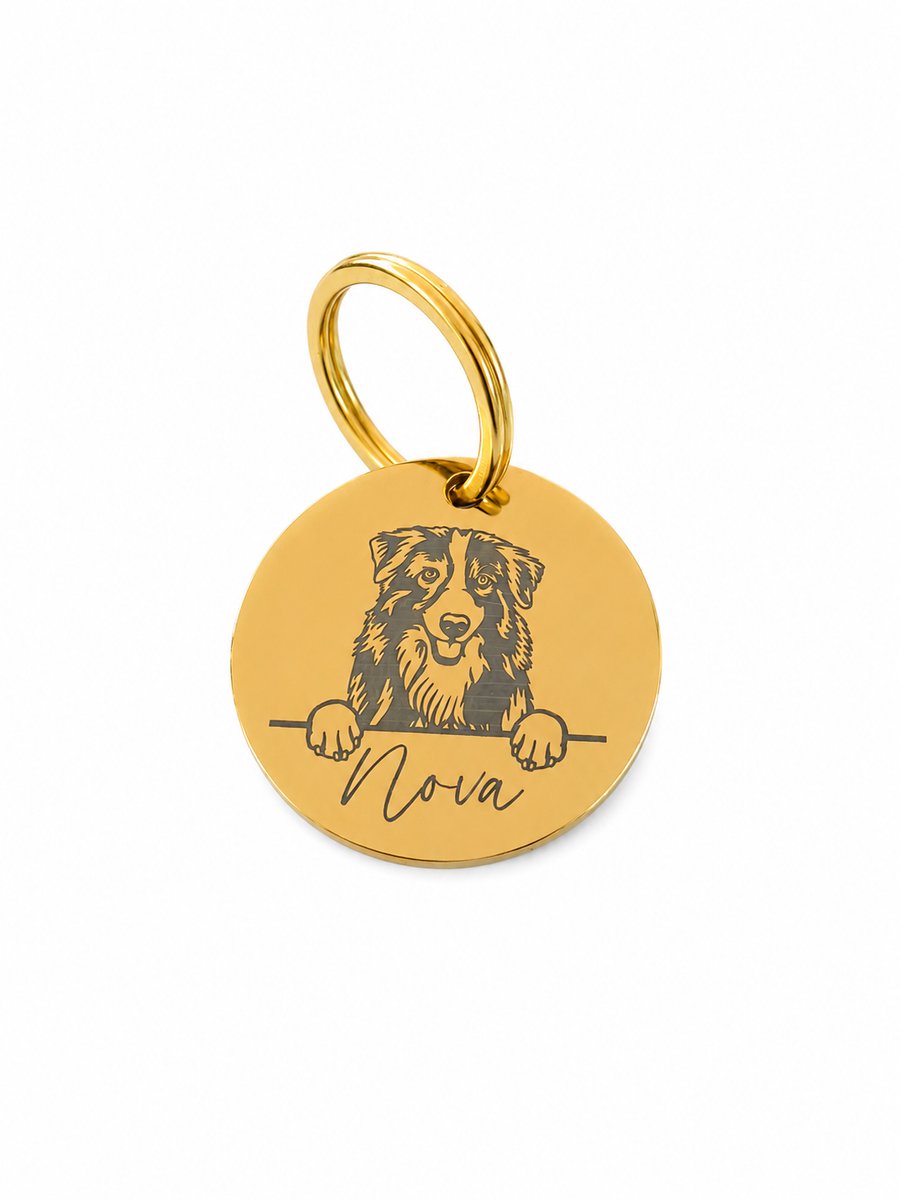 By Ollies dierenpenning zilver - Hondenras - 30 mm - rond - RVS - Wandelen