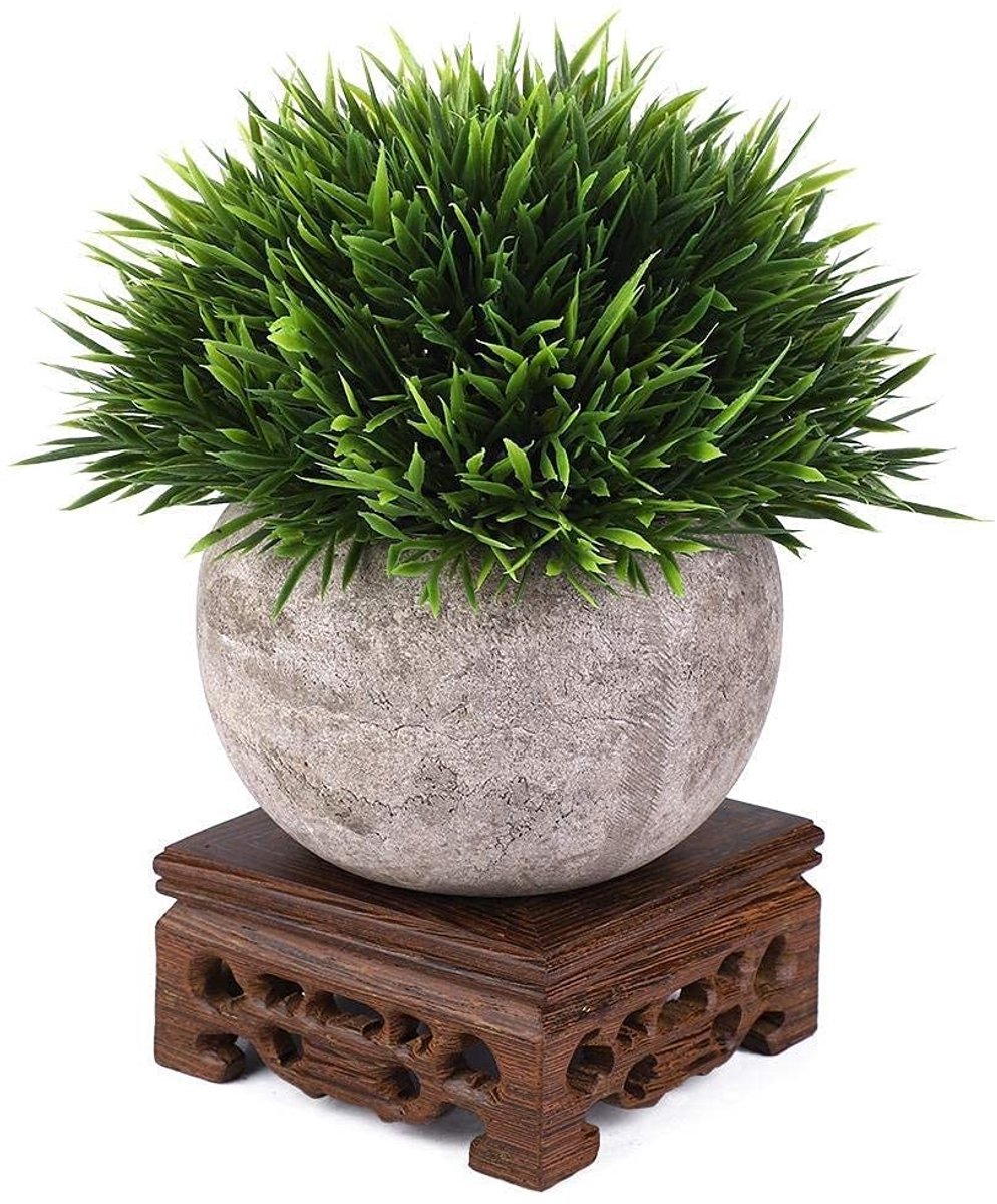 Dailygoods- Theepot Standaard Houten - Vaas voor Planten - Decoratief Item - Woonruimte Decoratie - Thuiskantoor Accessoire - Professioneel Ontwikkeld - Decoratieve Vaas
